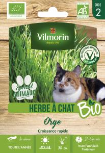 Herbe à Chat (Orge) - BIO - Grand Modèle 